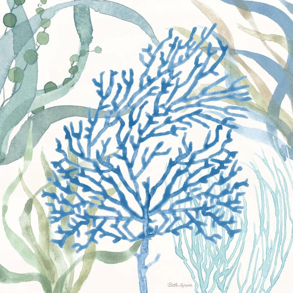 Coral: Soft Shores VI by Beth Grove