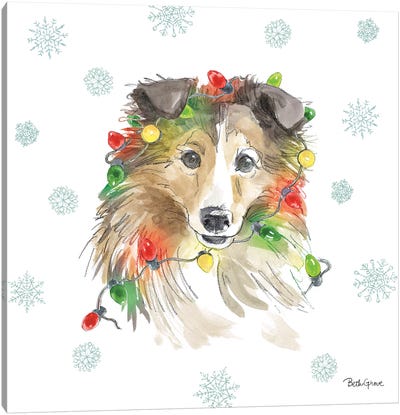 Holiday Paws IX Canvas Art Print - Collie Art