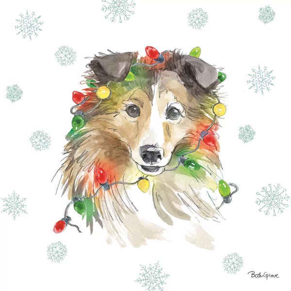 Collies: Holiday Paws IX by Beth Grove