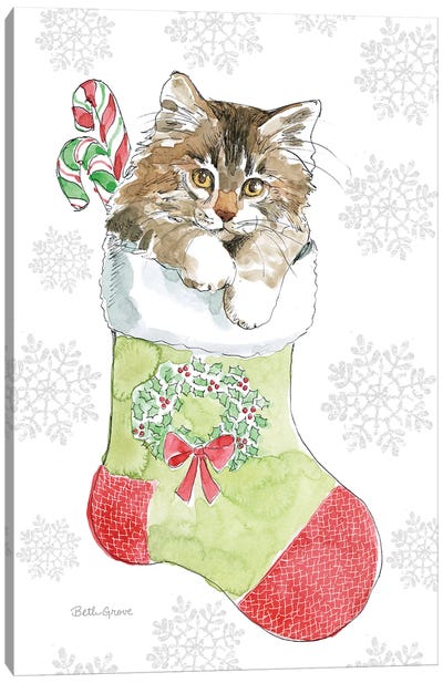Christmas Kitties IV Snowflakes Canvas Art Print