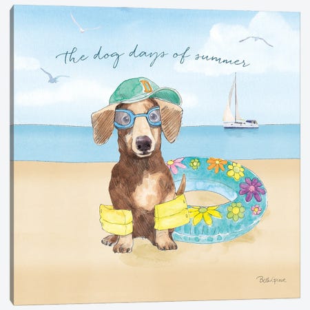 Summer Paws III Canvas Print #BEG39} by Beth Grove Canvas Art Print