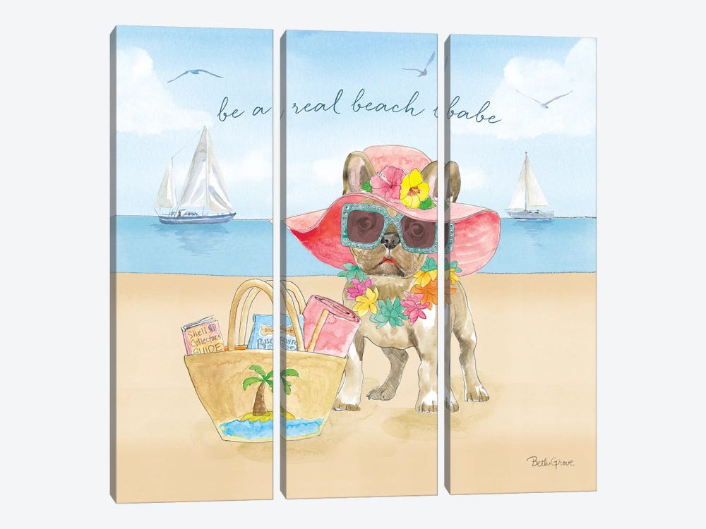 Summer Paws IV by Beth Grove 3-piece Canvas Print