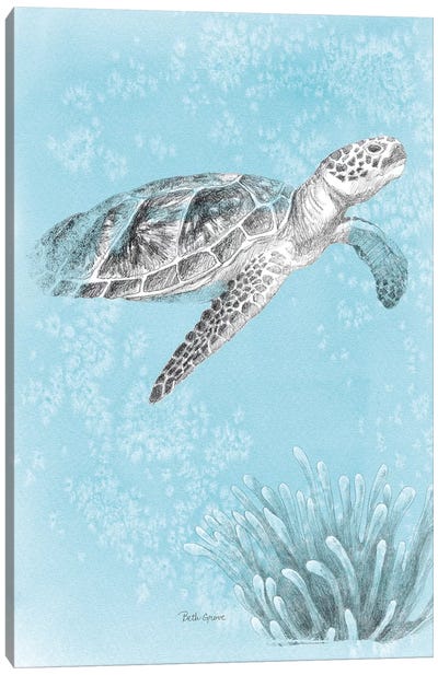 Coastal Sea Life I v2 Canvas Art Print - Reptile & Amphibian Art