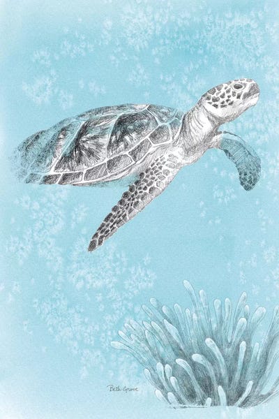 Turtles: Coastal Sea Life I v2 by Beth Grove