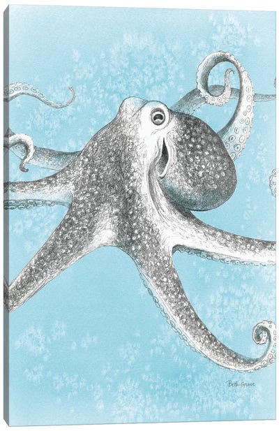 Coastal Sea Life II v2 Canvas Art Print - Octopus Art
