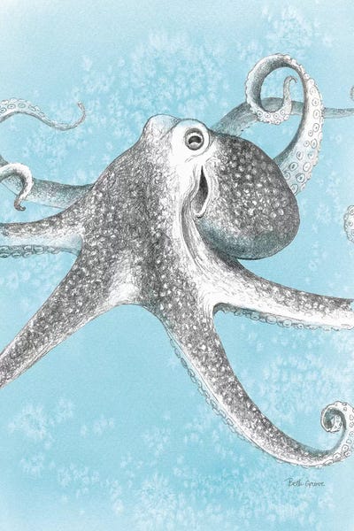 Octopi: Coastal Sea Life II v2 by Beth Grove