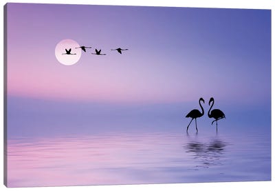 Flying Flamingo Canvas Art Print