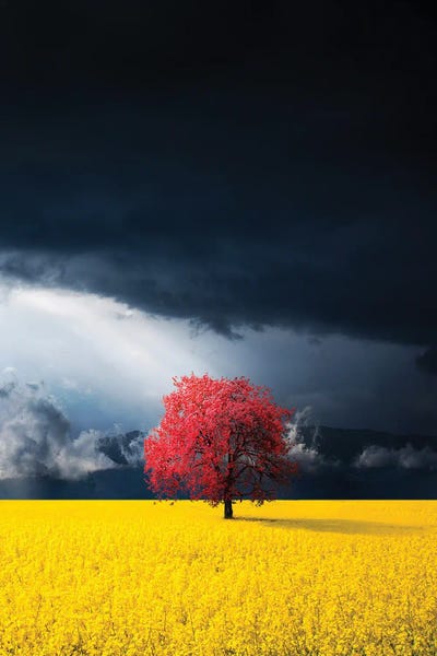 Bess Hamiti: Red tree by Bess Hamiti