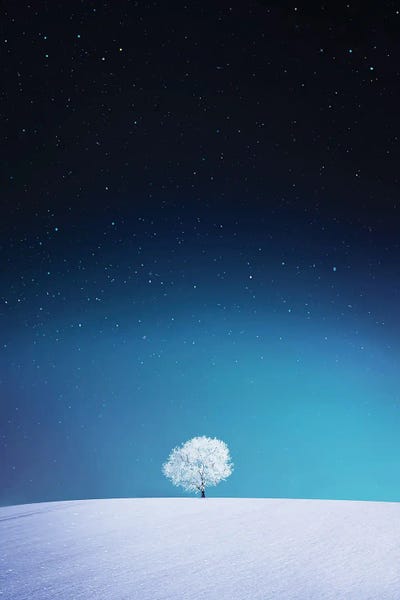 Apple by Bess Hamiti acrylic art print