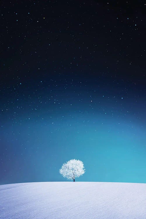 Apple by Bess Hamiti wall art