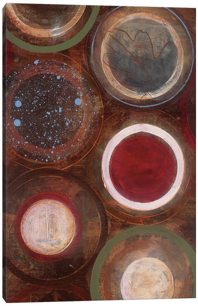 Nature's Spheres II Canvas Art Print - Leslie Bernsen
