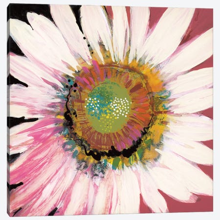 Sunshine Flower I Canvas Print #BER65} by Leslie Bernsen Canvas Artwork