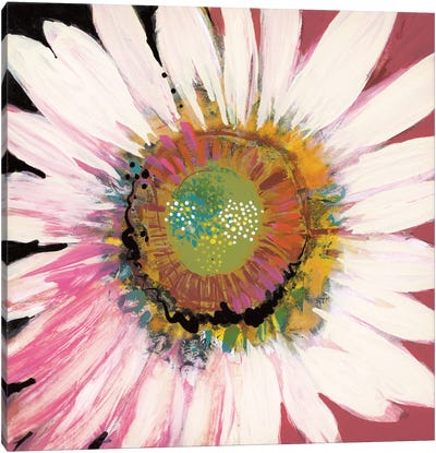 Sunshine Flower I Canvas Art Print - Leslie Bernsen