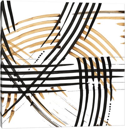 Abstract Curves Canvas Art Print - Leslie Bernsen
