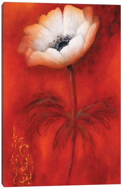 Anemone I Canvas Art Print - Anemone Art