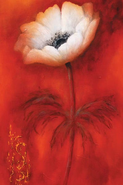 Anemones: Anemone I by Betty Jansma