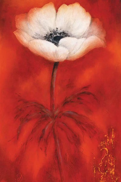 Anemones: Anemone II by Betty Jansma