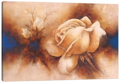 Rose II Canvas Art Print