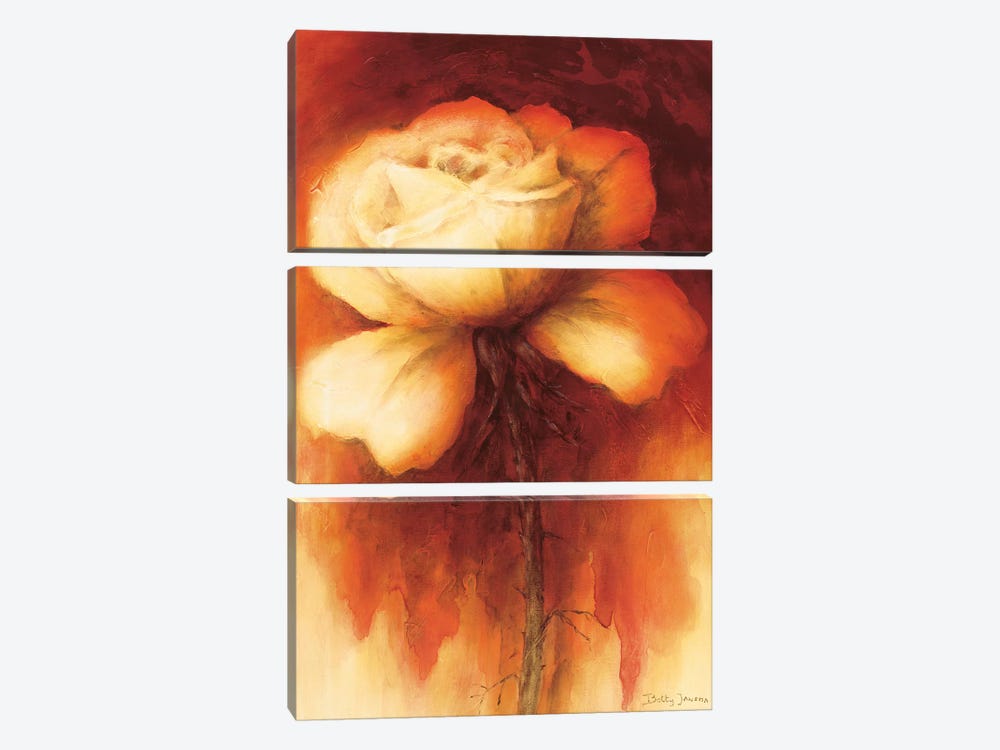 Roses I by Betty Jansma 3-piece Canvas Artwork