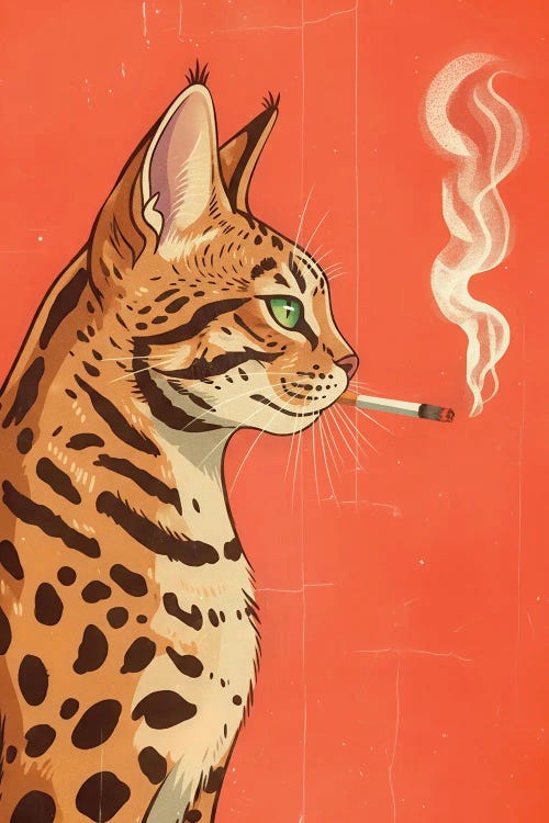 Smoking Bengal Cat