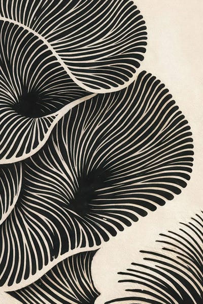 Modern Abstract Black Swirl Lines by Bona Fidesa canvas print