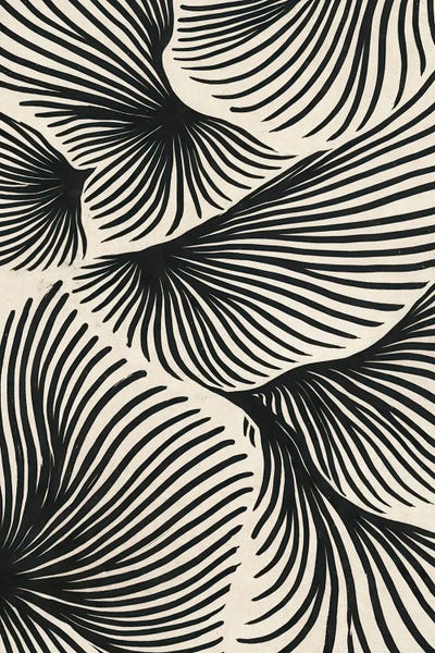 Abstract Fan Shape Black Line by Bona Fidesa canvas print