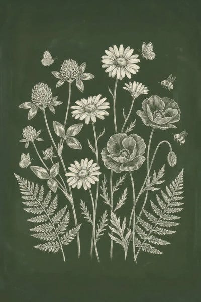 Botanical Flowers And Insects Sketch by Bona Fidesa canvas print