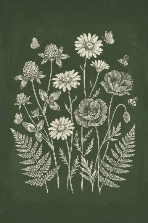 Botanical Flowers And Insects Sketch