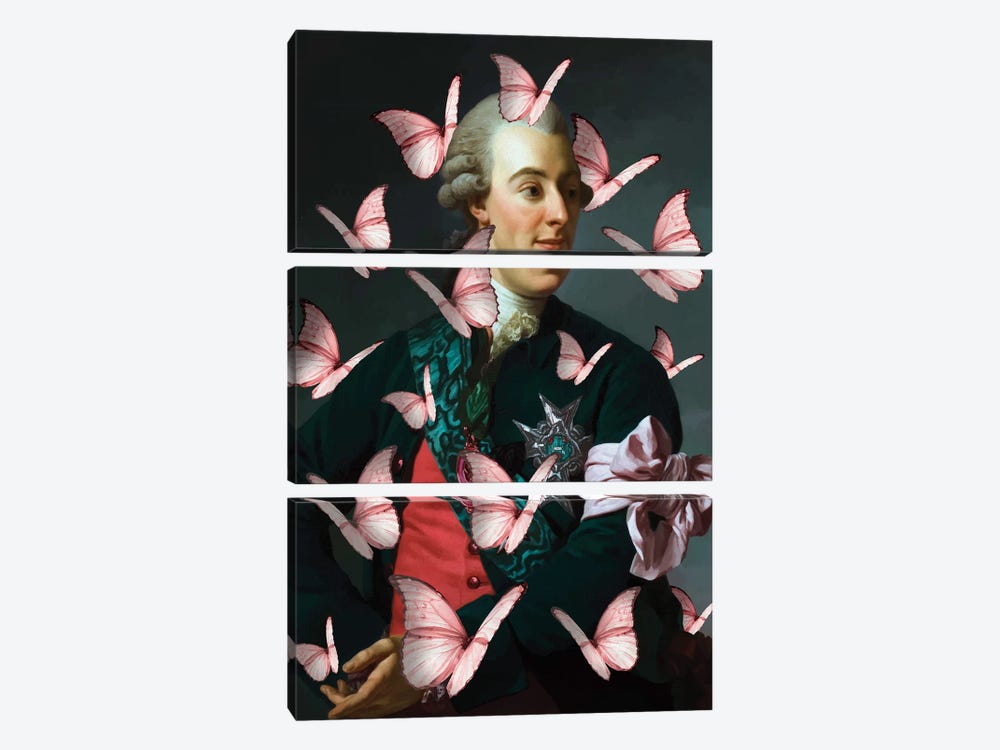 Nobleman Portrait Butterfly Collage XX by Bona Fidesa 3-piece Canvas Wall Art