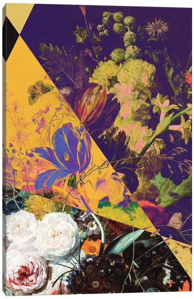 Surreal Flower Collage Canvas Art Print - Bona Fidesa