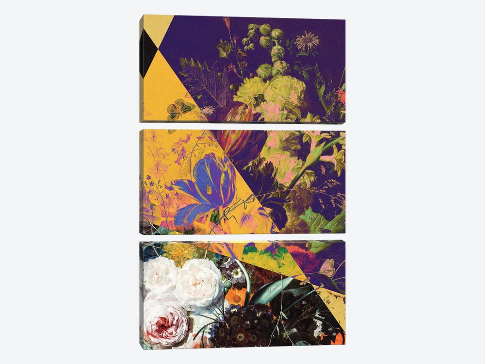 Surreal Flower Collage by Bona Fidesa 3-piece Art Print