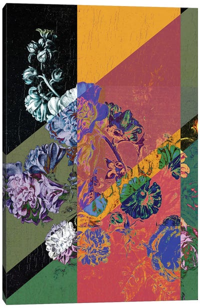 Colorful Flower Funky Canvas Art Print - Bona Fidesa