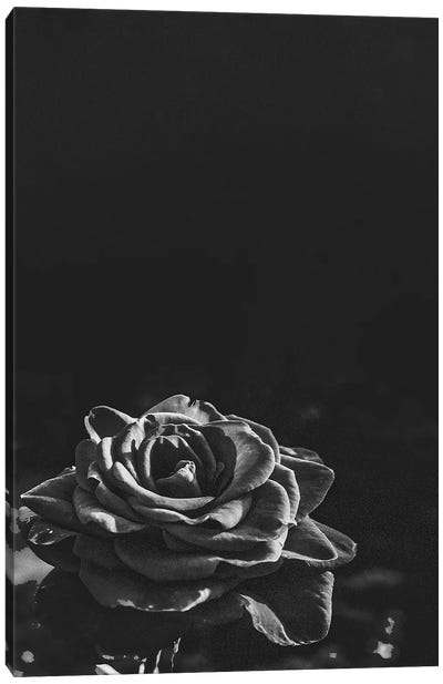 Dark Rose II Canvas Art Print - Bona Fidesa