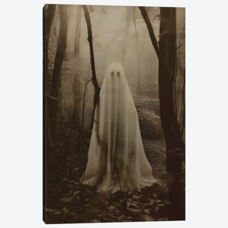 Ghost Of The Forest Canvas Print #BFD635} by Bona Fidesa Canvas Art Print