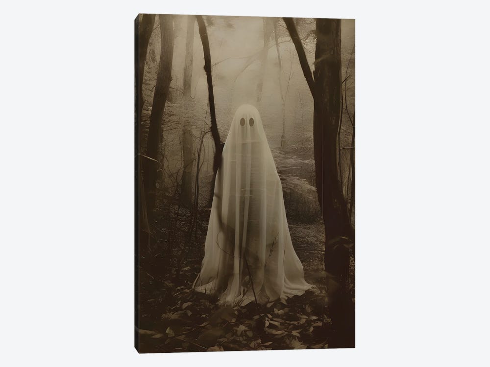 Ghost Of The Forest by Bona Fidesa 1-piece Canvas Print