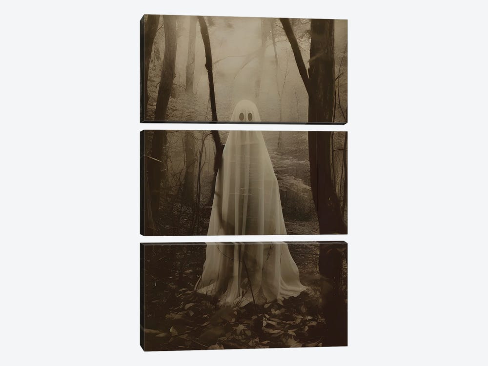 Ghost Of The Forest by Bona Fidesa 3-piece Art Print