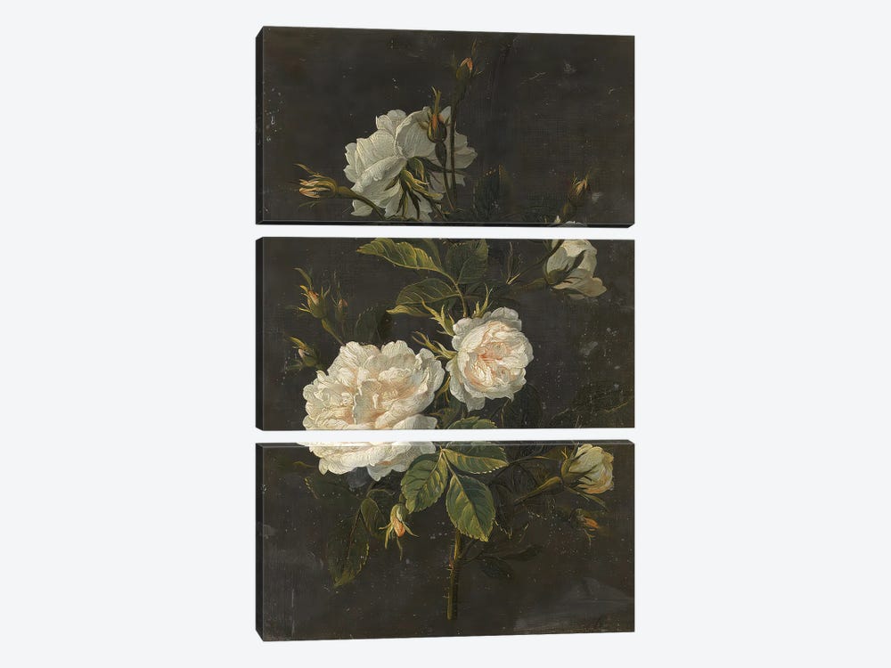 Moody Flower by Bona Fidesa 3-piece Canvas Art Print
