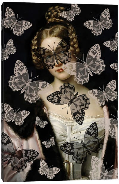Butterfly Heaven Canvas Art Print - Bona Fidesa
