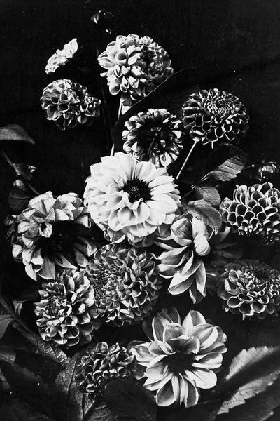 Moody Flower Bouquet I by Bona Fidesa art print