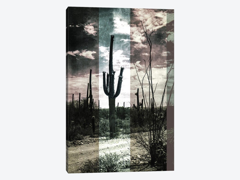 Desert Cactus 1-piece Canvas Wall Art