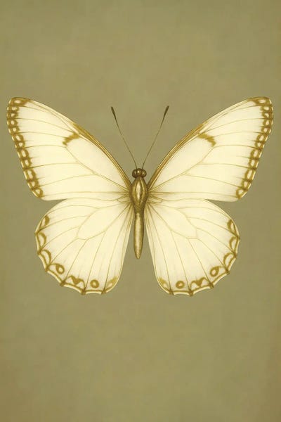 Gold Butterfly by Bona Fidesa multi panel art