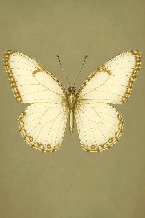 Gold Butterfly by Bona Fidesa wall art