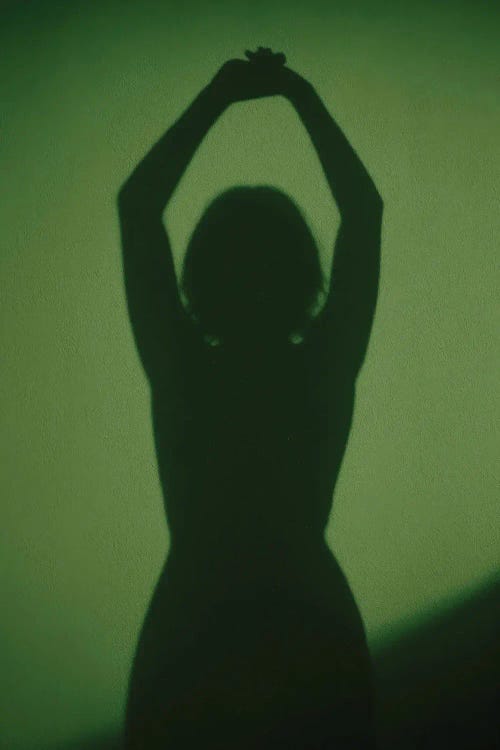 Woman Silhouette by Bona Fidesa wall art