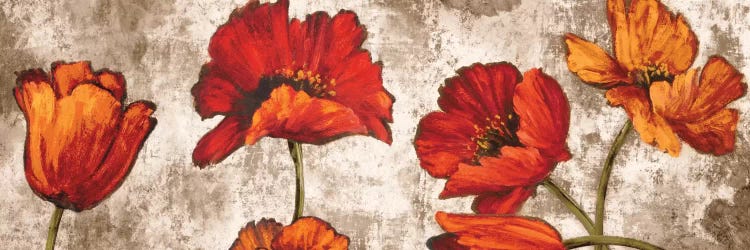 Poppy Paradise by Brian Francis wall art