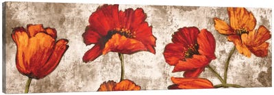 Poppy Paradise Canvas Art Print - Poppy Art