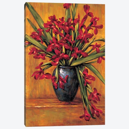 Red Irises Canvas Print #BFR19} by Brian Francis Canvas Artwork