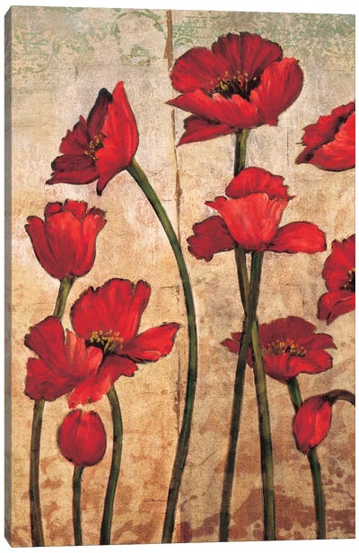The Gathering I Canvas Art Print - Poppy Art