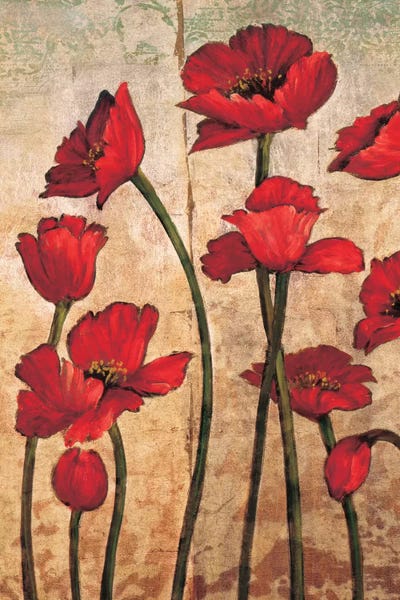 Poppies: The Gathering I by Brian Francis