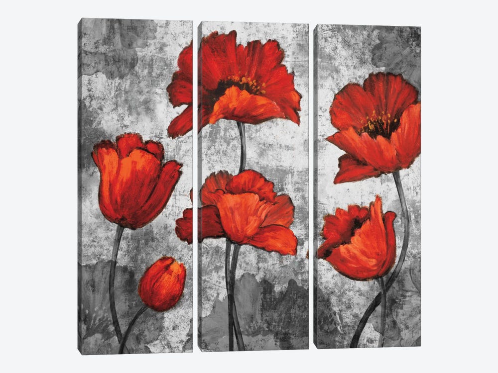 Evening Red I by Brian Francis 3-piece Art Print