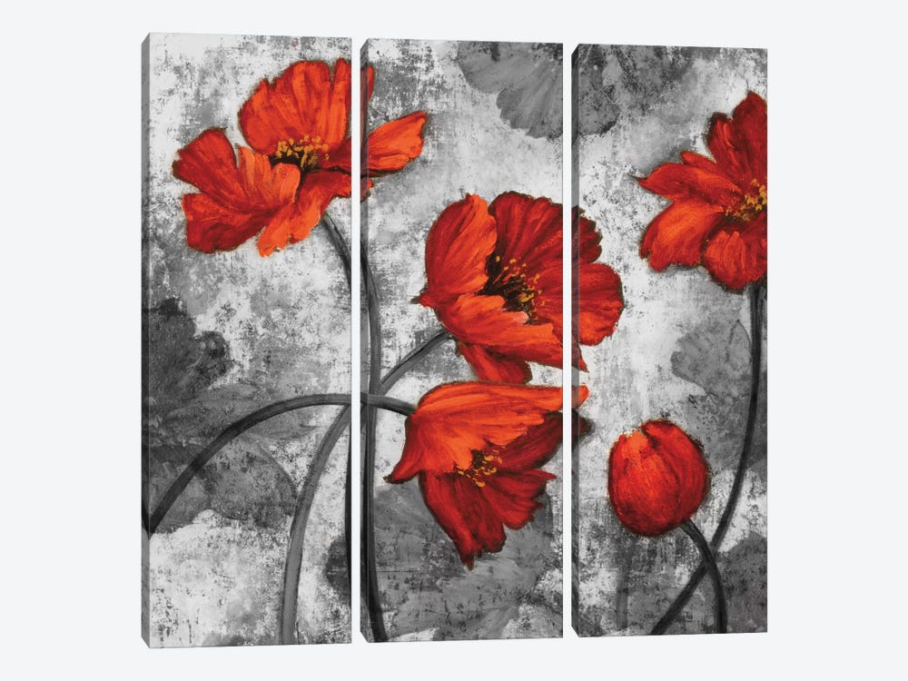 Evening Red II by Brian Francis 3-piece Canvas Artwork